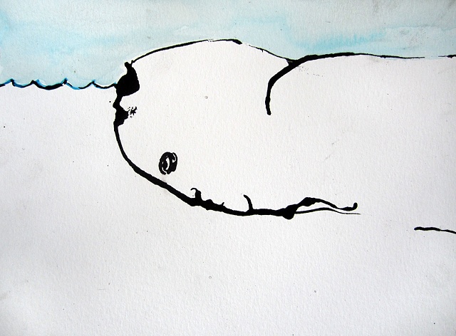 Splash Image