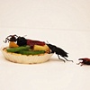 Salacious and Prohibited