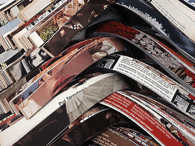 altered, alter, altered book, altered bookwork, bookworks, unique, one of a kind, cut paper, facebook, political art, installation