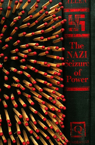 Purge: The Nazi Seizure of Power

