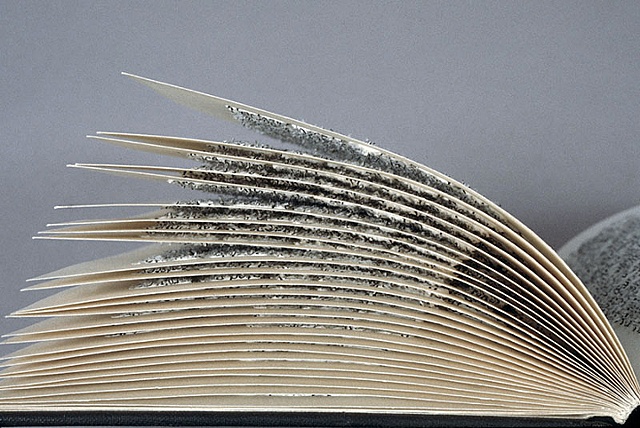 altered, alter, altered book, altered bookwork, bookworks, unique, one of a kind, cut paper, facebook, political art, installation, paper sculpture
