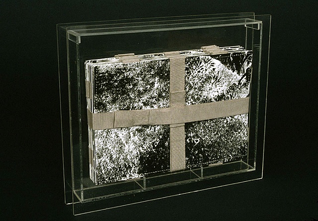 negative, positive, 35mm, aloe, vera, photography