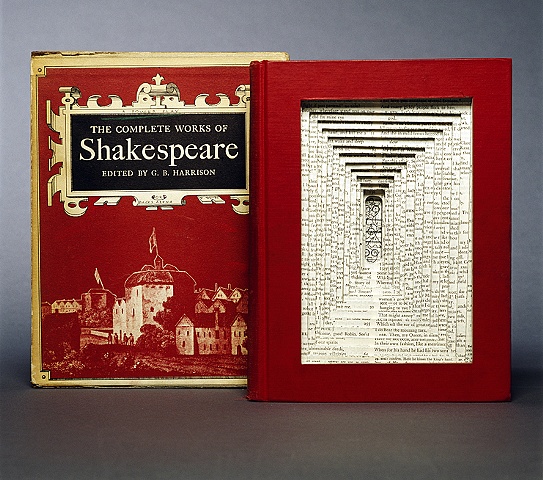 altered, alter, altered book, altered bookwork, bookworks, unique, one of a kind, cut paper, facebook, political art, installation, paper sculpture