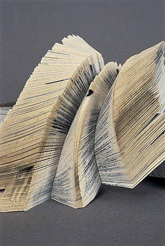 altered, alter, altered book, altered bookwork, bookworks, unique, one of a kind, cut paper, facebook, political art, installation