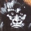 Apeshit #4