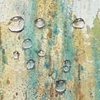 Died while dancing in the rain