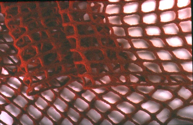 scarf design
