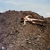 Dirt Roll 