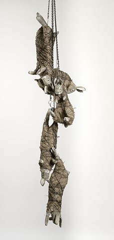 hares and rabbits