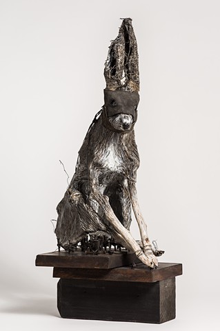 rabbits and hares, self portrait