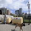 The Park Spark Project
Matthew Mazzotta 2010