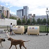 The Park Spark Project
Matthew Mazzotta 2010