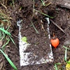 Shroud and Burial Project
(September 2011)