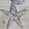 *Shooting Star*