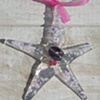 "Shooting Star"