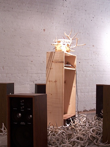 Moose skull record player by artists Owen Rundquist and Alexander DeMaria