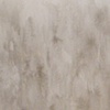 "grand view of dormant forest" 