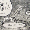 "irrigation plan"