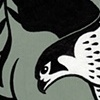 Peregrine Falcons 
Hunted Passenger Pigeons 
(Version Two)

