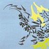 Columbine Kelp