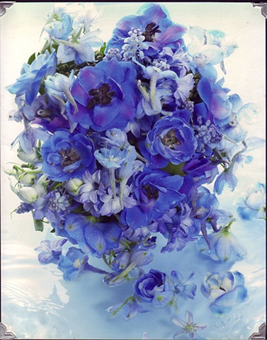 Blue Bouquet