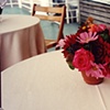 Fall cocktail arrangment