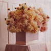 Dahlia arrangement from Martha Stewart  Weddings magazine