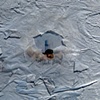 VIII