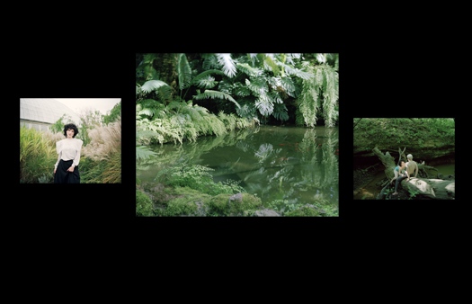 Return to the Lagoon 