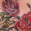 roses cover up