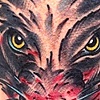 wolves!