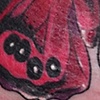 just one of katies butterflies