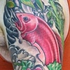 bills chef sleeve