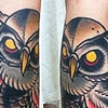 britts owl 