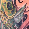 splashy koi
