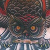 nicks throat owl