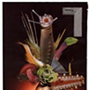 Semiotic Vase #7