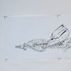 Untitled [Scroll]