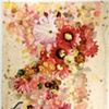 Flora Pandora