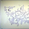 Every Geological Postulate Arranged According to Inherent Structural Logic I