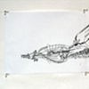 Untitled [Scroll] (detail)