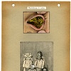 Untitled (Seeing, Hearing, Thinking, Being)
