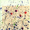 Sketch for a Unified Choreographic Notation Methodology: Composition in Hots and Colds