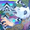collaboration w/ J Garcia for STS9 at Red Rocks