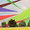 untitled (pinecones)