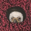 an eagle for a shield, a shield for an eagle