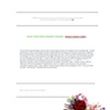 MFA Thesis Report / Manifesto
