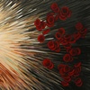 incandescent device