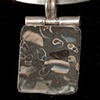 011 Fossil Necklace with Silver Neckwire