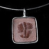 054 Sterling & Chocolate Trilobyte Pendant